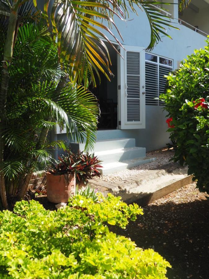Kas Di Bami A-186 Op Seru Coral Resort - Ruim Appartement Met Groot Zwembad En Tropische Tuin Willemstad Zewnętrze zdjęcie