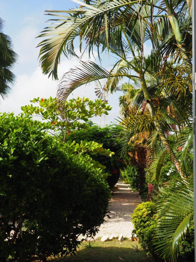 Kas Di Bami A-186 Op Seru Coral Resort - Ruim Appartement Met Groot Zwembad En Tropische Tuin Willemstad Zewnętrze zdjęcie