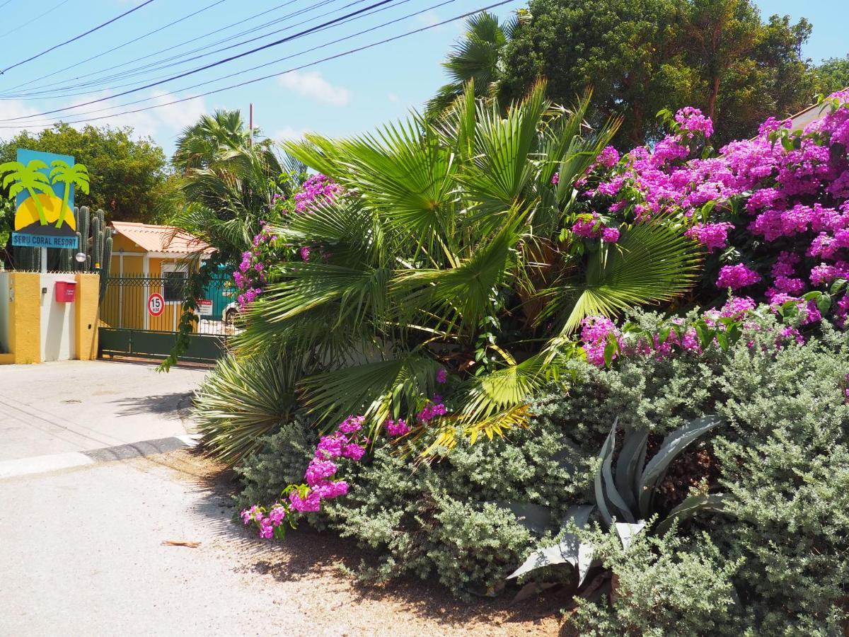 Kas Di Bami A-186 Op Seru Coral Resort - Ruim Appartement Met Groot Zwembad En Tropische Tuin Willemstad Zewnętrze zdjęcie
